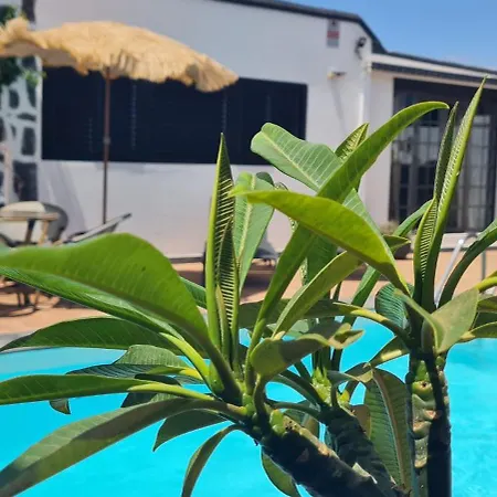 Boutique Boho Glam With Private Pool * Playa Blanca